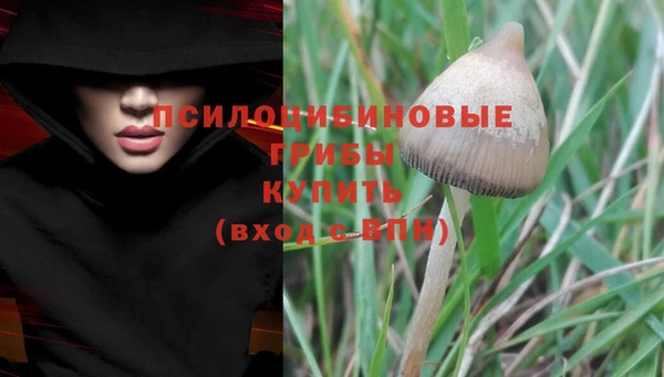ALPHA-PVP Армянск